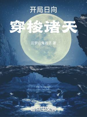 长安盗 海岩