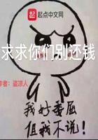 叶辰一百亿零花钱叫什么