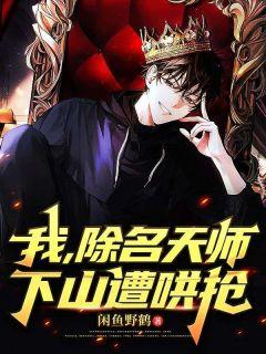 清穿之皇贵妃晋升记全文免费阅读